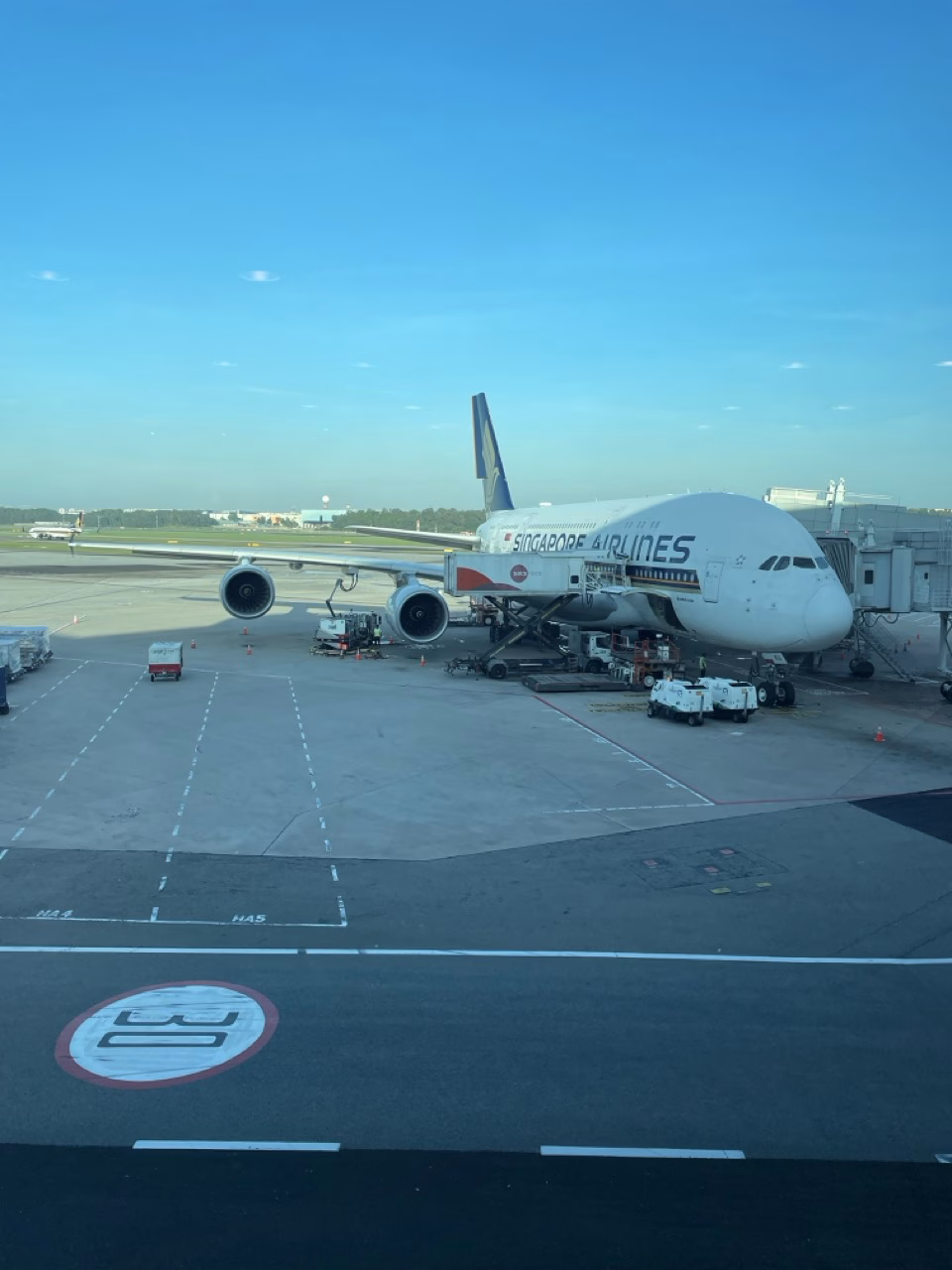 Singapore Airlines Business Class A380 Review